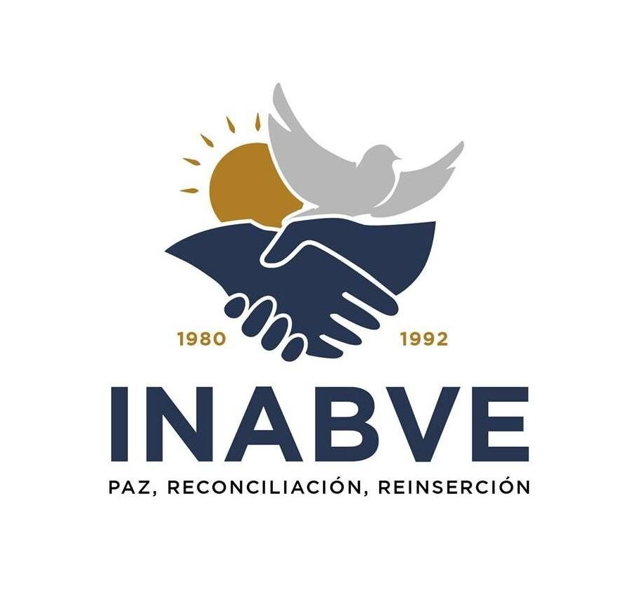 Decreto 210 Ley general de INABVE